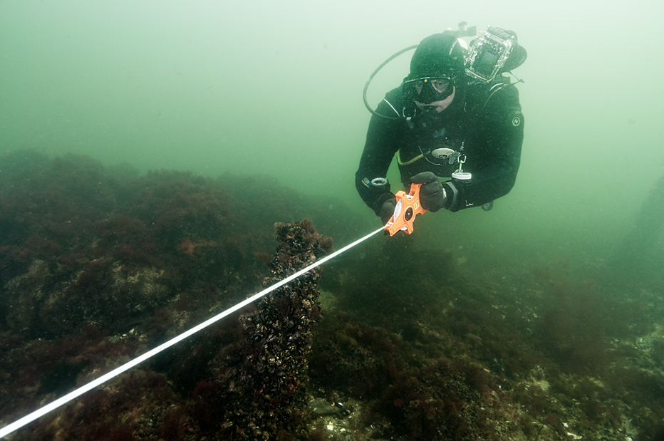 Rostock Ost 098 20170826 MartinSiegel a