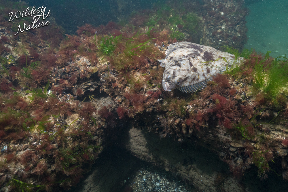 20260220 SaschaBöhme1 1