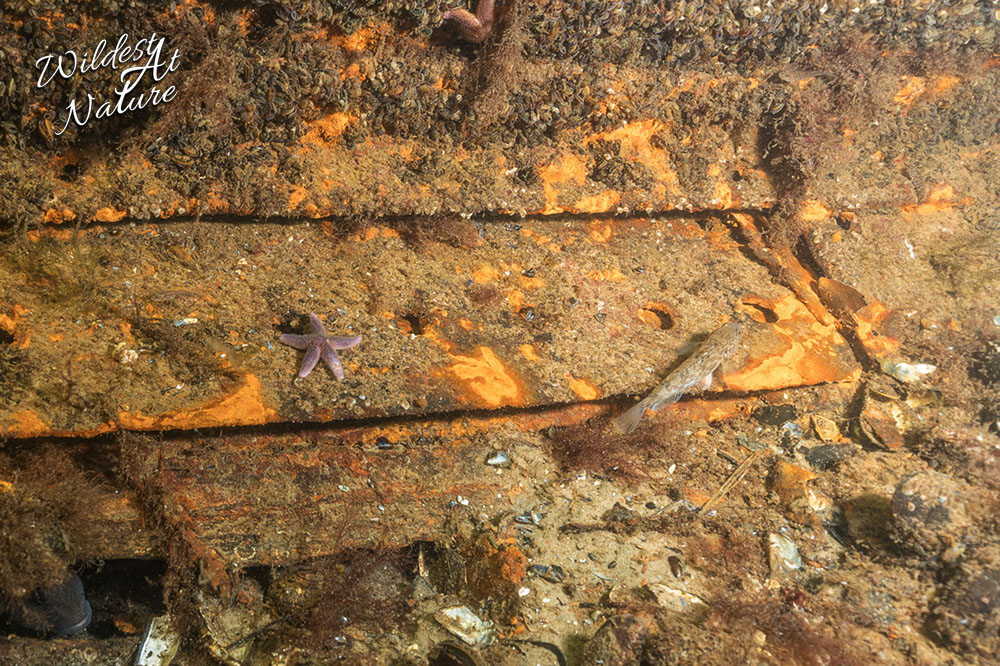 20260220 SaschaBöhme1 3