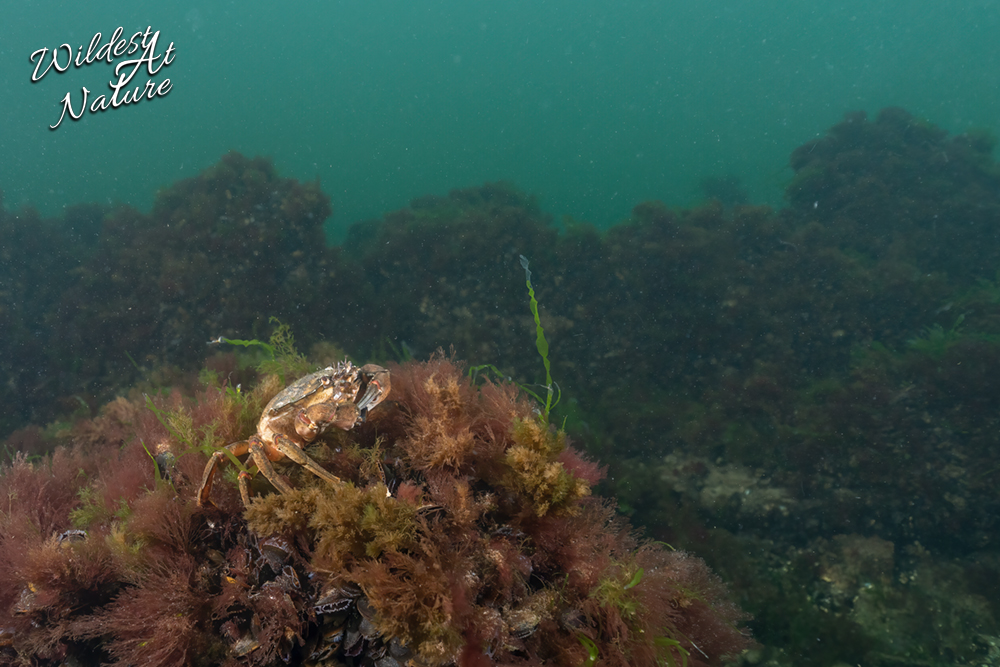 20260220 SaschaBöhme1 5